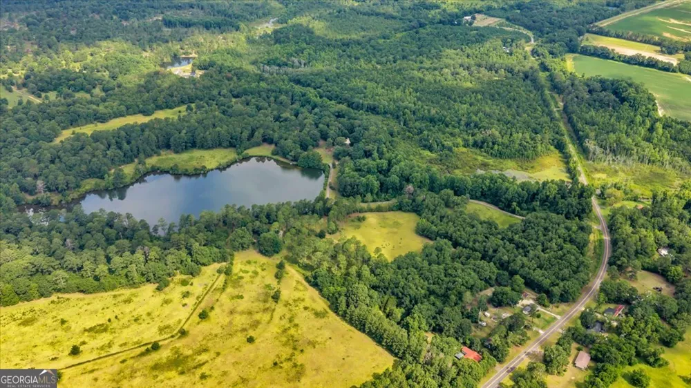 1060 COOKS MILL Road Oglethorpe, GA 31068
