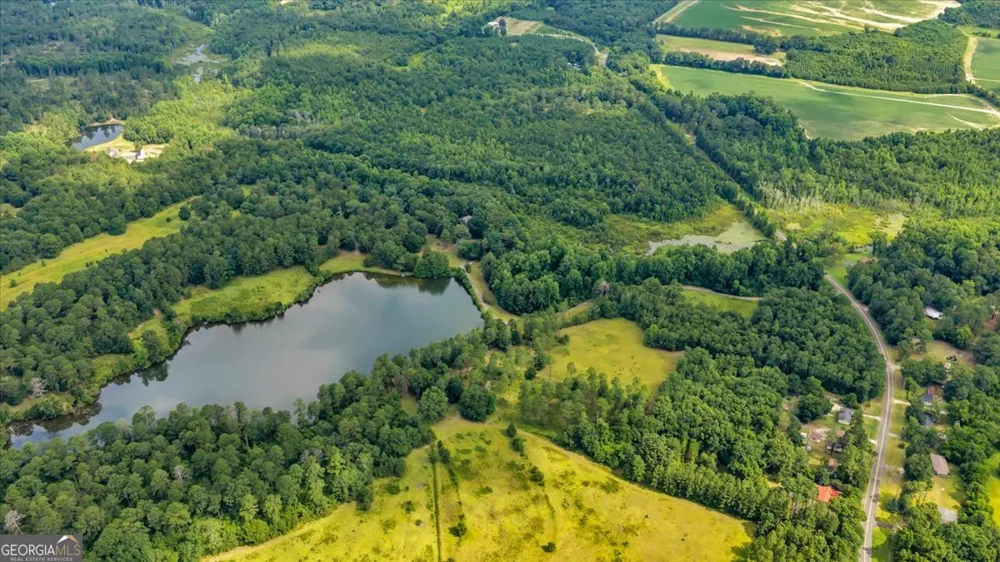1060 COOKS MILL Road Oglethorpe, GA 31068
