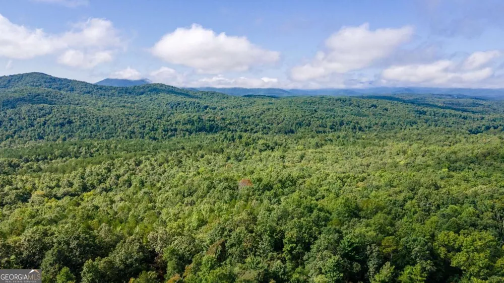192 Oak Ridge WAY Morganton, GA 30560