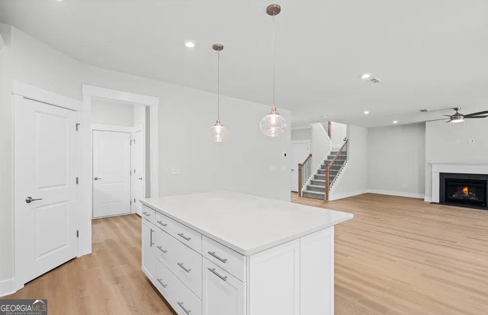 4711 Wilderness TRL Flowery Branch, GA 30542