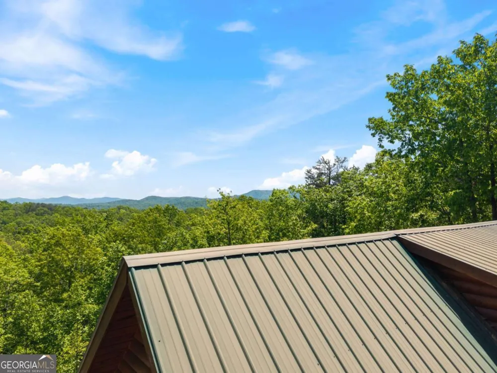161 Huntington WAY Blue Ridge, GA 30513