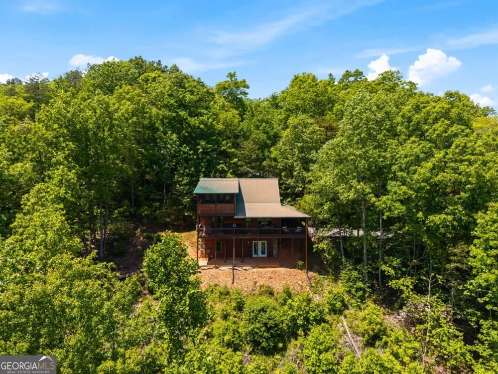 161 Huntington WAY Blue Ridge, GA 30513