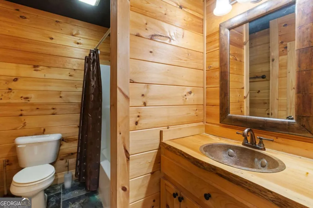 161 Huntington WAY Blue Ridge, GA 30513