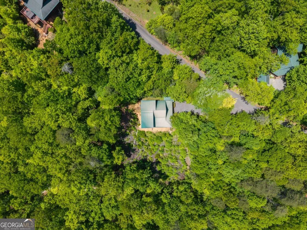 161 Huntington WAY Blue Ridge, GA 30513