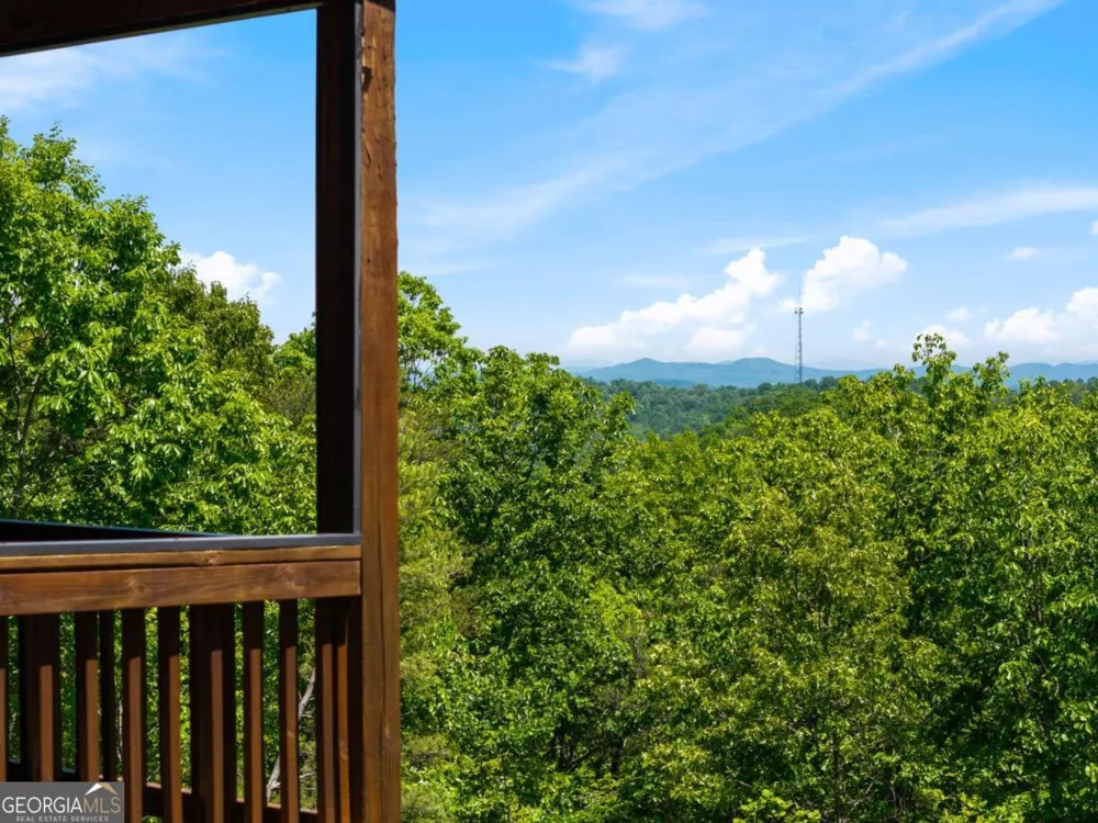 161 Huntington WAY Blue Ridge, GA 30513