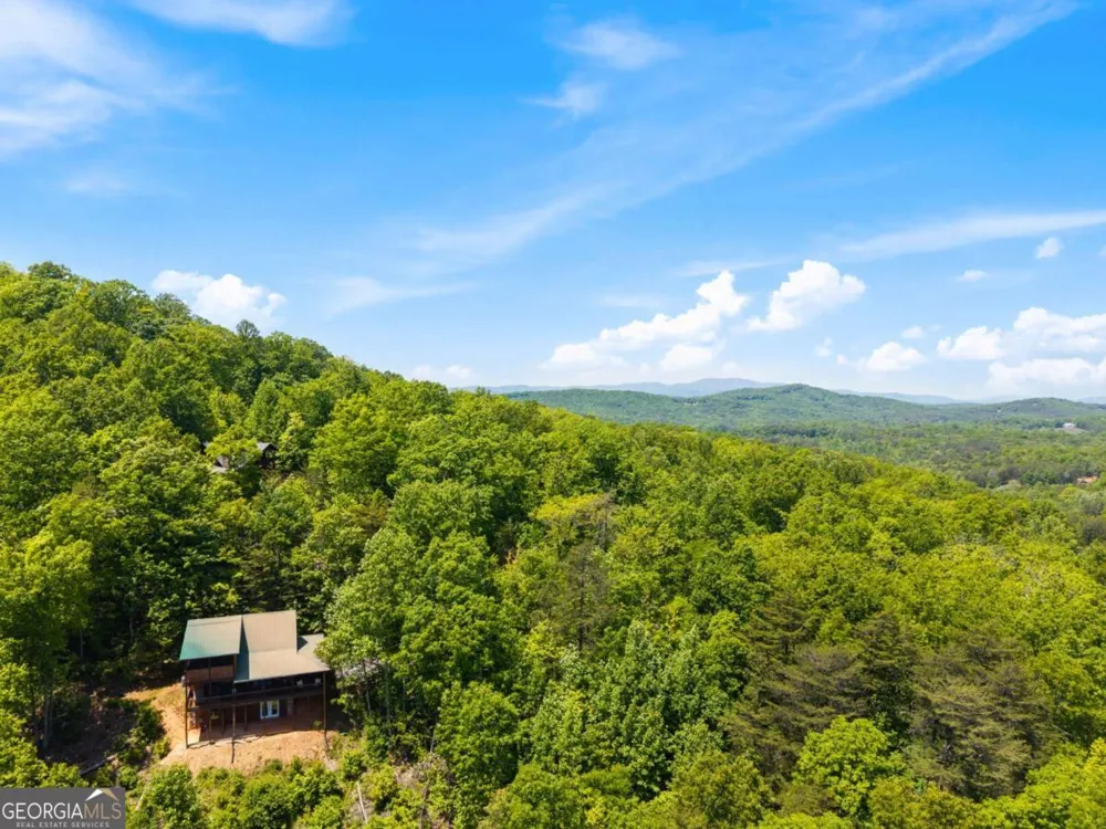 161 Huntington WAY Blue Ridge, GA 30513