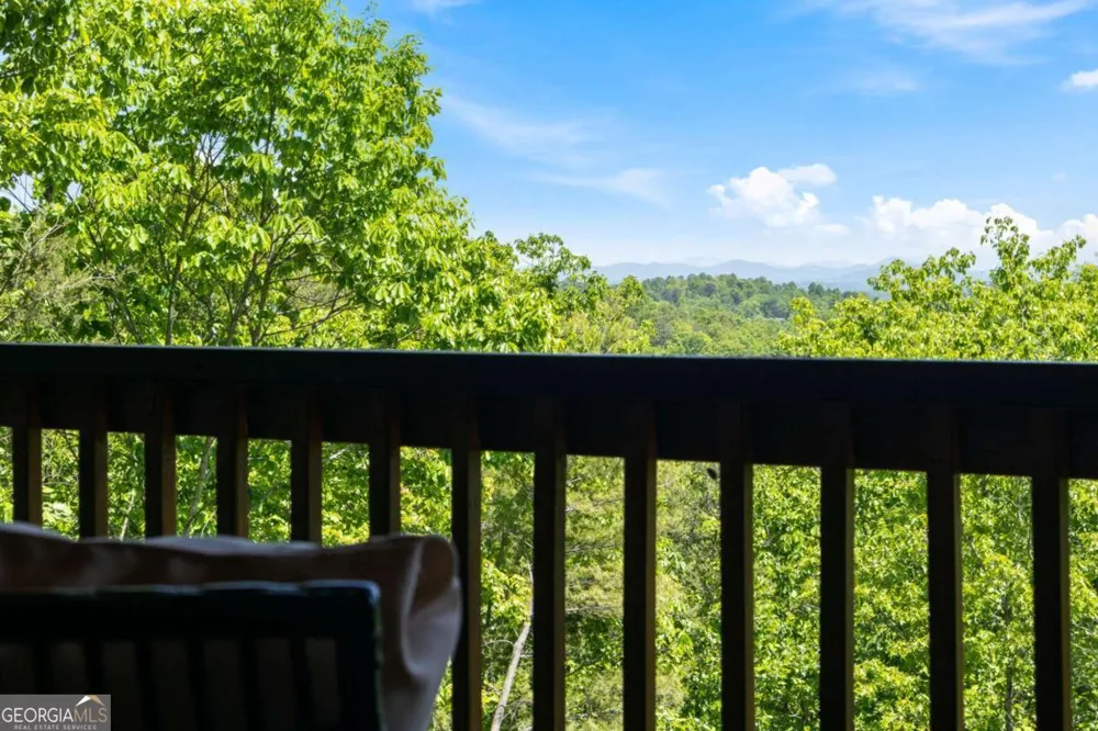 161 Huntington WAY Blue Ridge, GA 30513