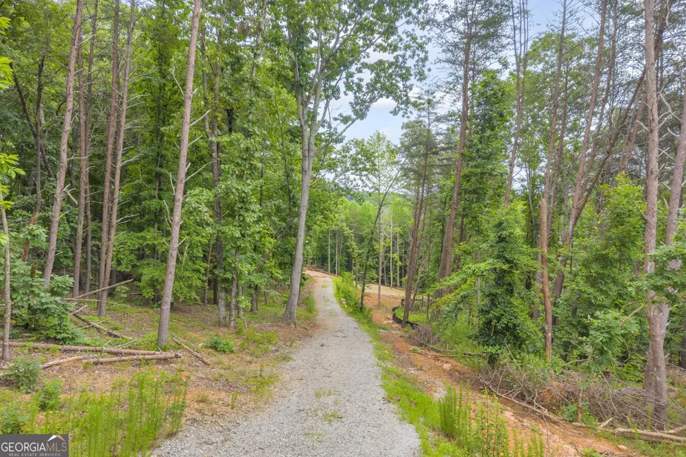 0 Gene Nix RD Cleveland, GA 30528