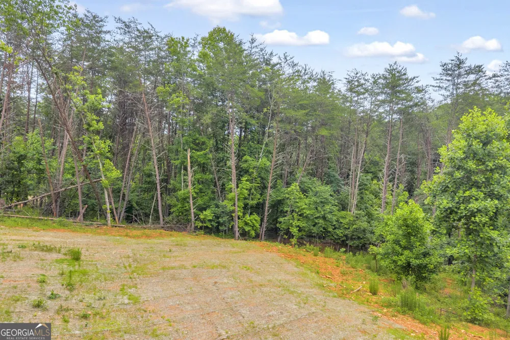 0 Gene Nix RD Cleveland, GA 30528