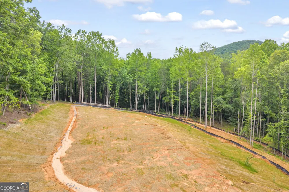 0 Gene Nix RD Cleveland, GA 30528
