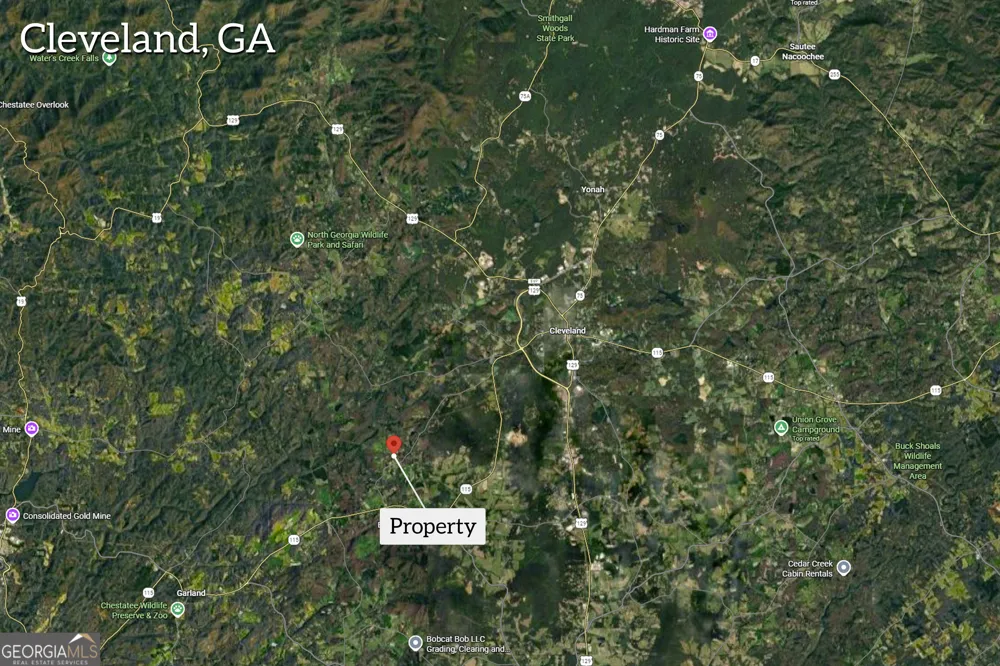 0 Gene Nix RD Cleveland, GA 30528