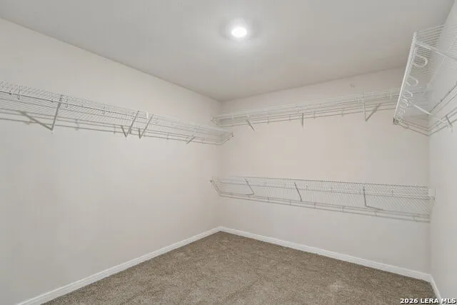 3038 CITRON GDN Converse, TX 78109