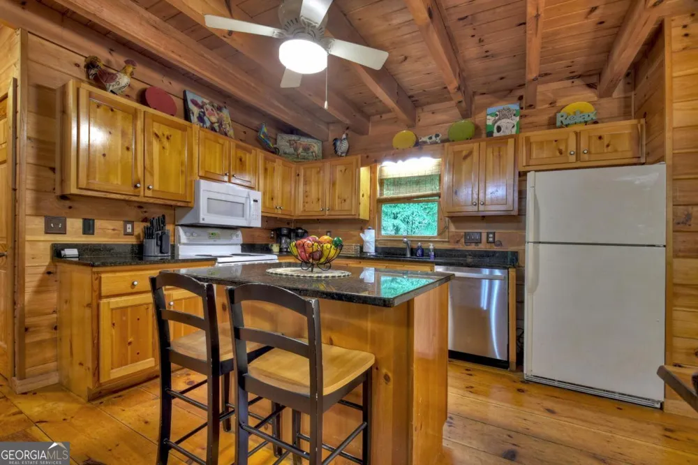 133 Muller LN Ellijay, GA 30540