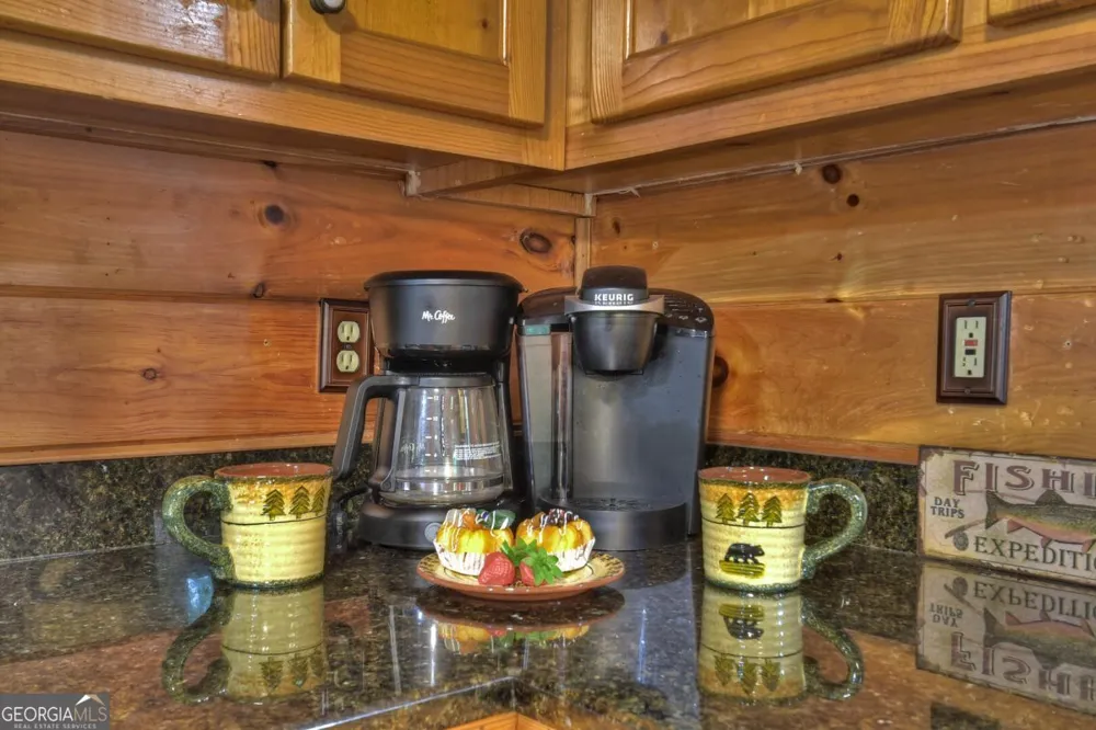 133 Muller LN Ellijay, GA 30540