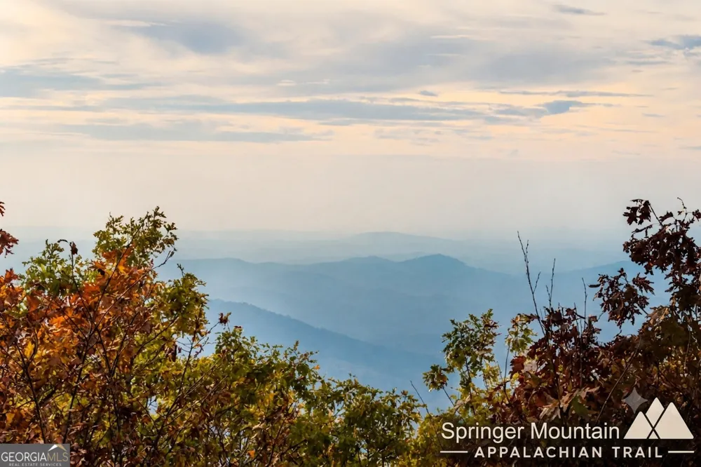 133 Muller LN Ellijay, GA 30540