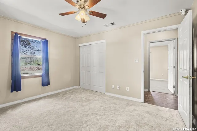 146 Exotic Bandera, TX 78003
