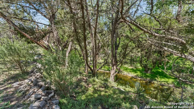 606 Deer Lake Cove Wimberley, TX 78676