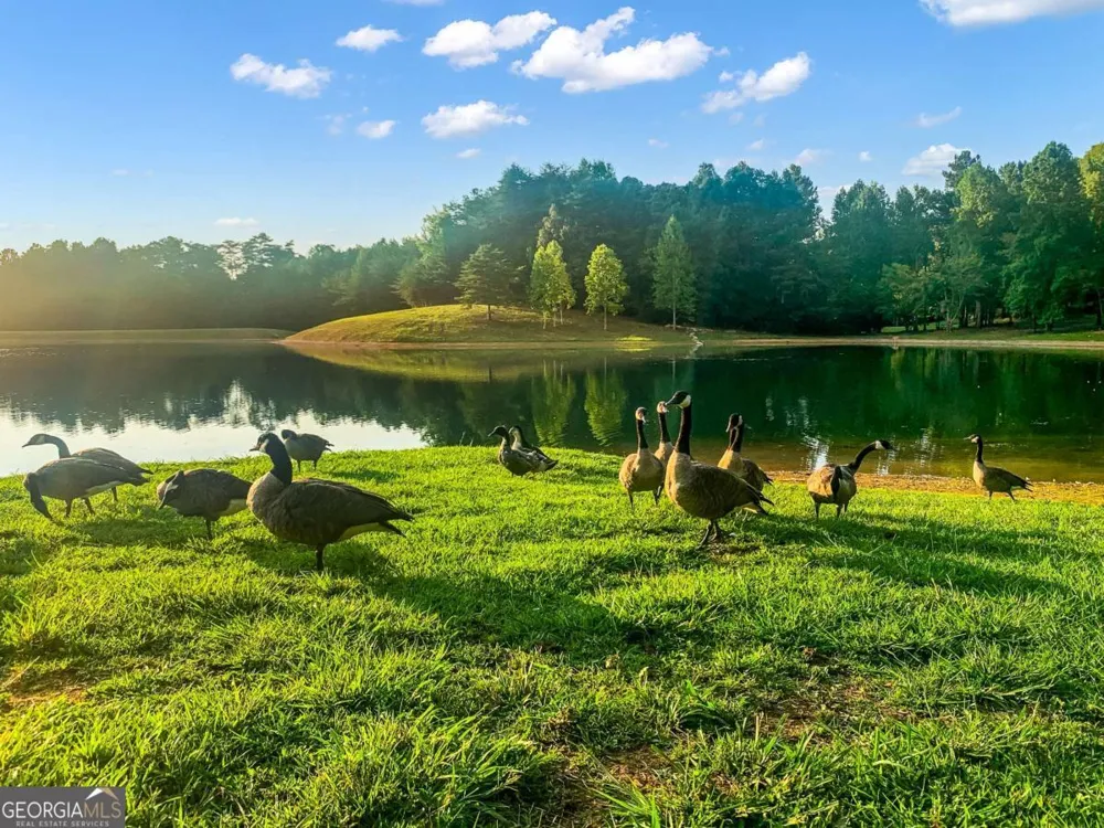 1269 Hunter DR Ranger, GA 30734