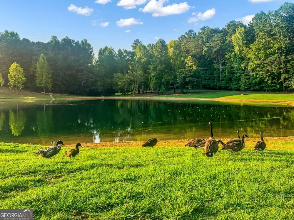 1269 Hunter DR Ranger, GA 30734