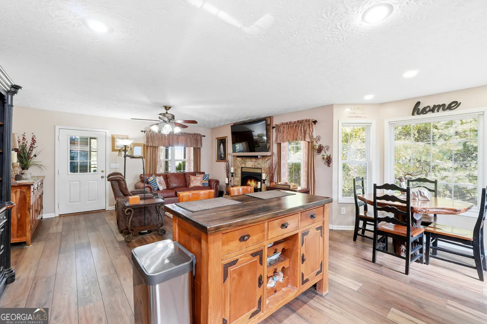 383 Acadia DR Ellijay, GA 30540