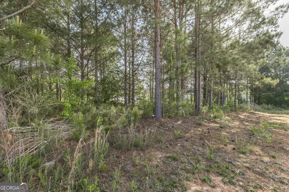 102 Clarks CT Jackson, GA 30233