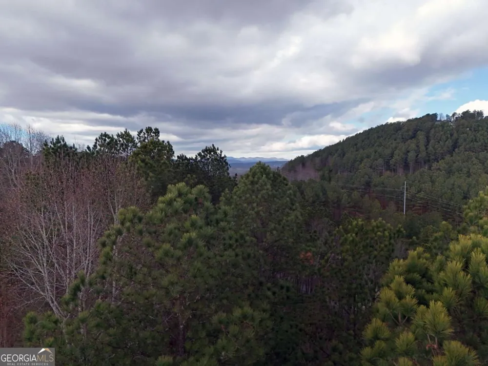 LOT 59 Ridge Peak VW Blairsville, GA 30512