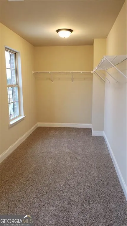 1006 Lakeview Oaks CT Grayson, GA 30017