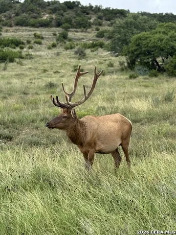 151 KUDU CV Blanco, TX 78606