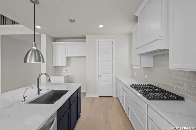 520 Paramus Park Cibolo, TX 78108