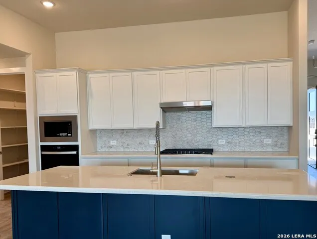 15010 Quiet Oak Cove San Antonio, TX 78245