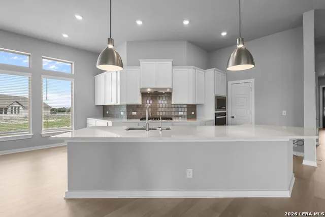 201 Desert Bloom San Antonio, TX 78253