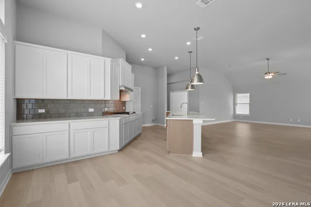 201 Desert Bloom San Antonio, TX 78253