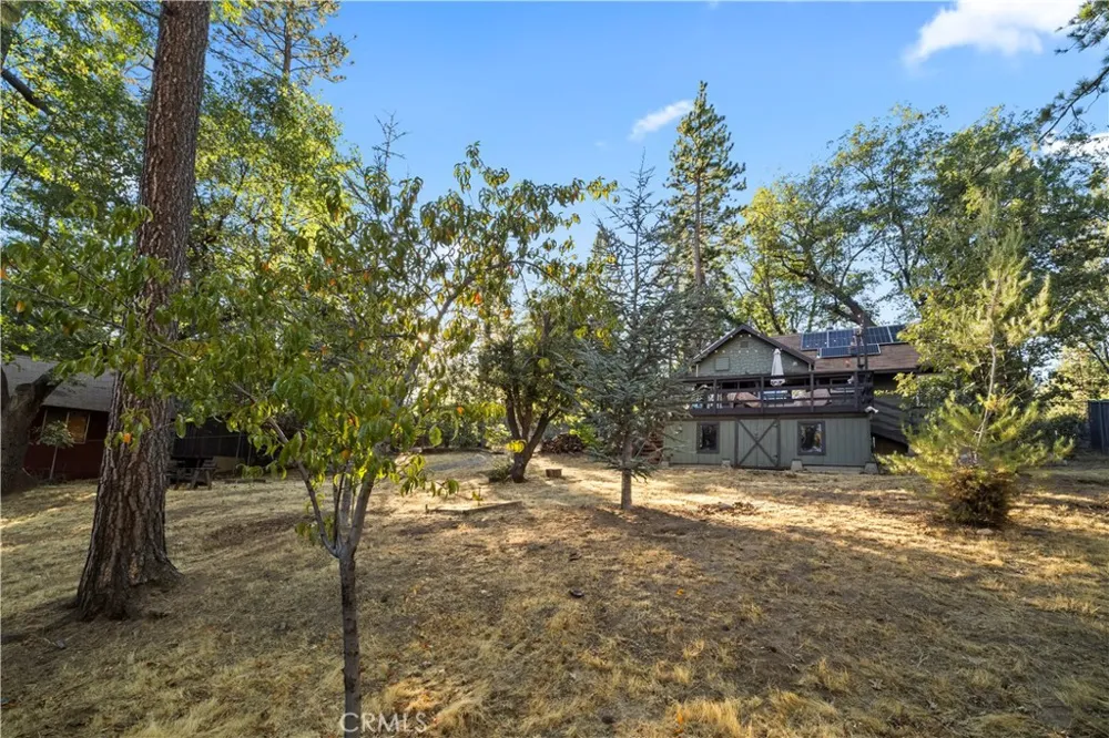 53985 Pine Crest Idyllwild, CA 92549