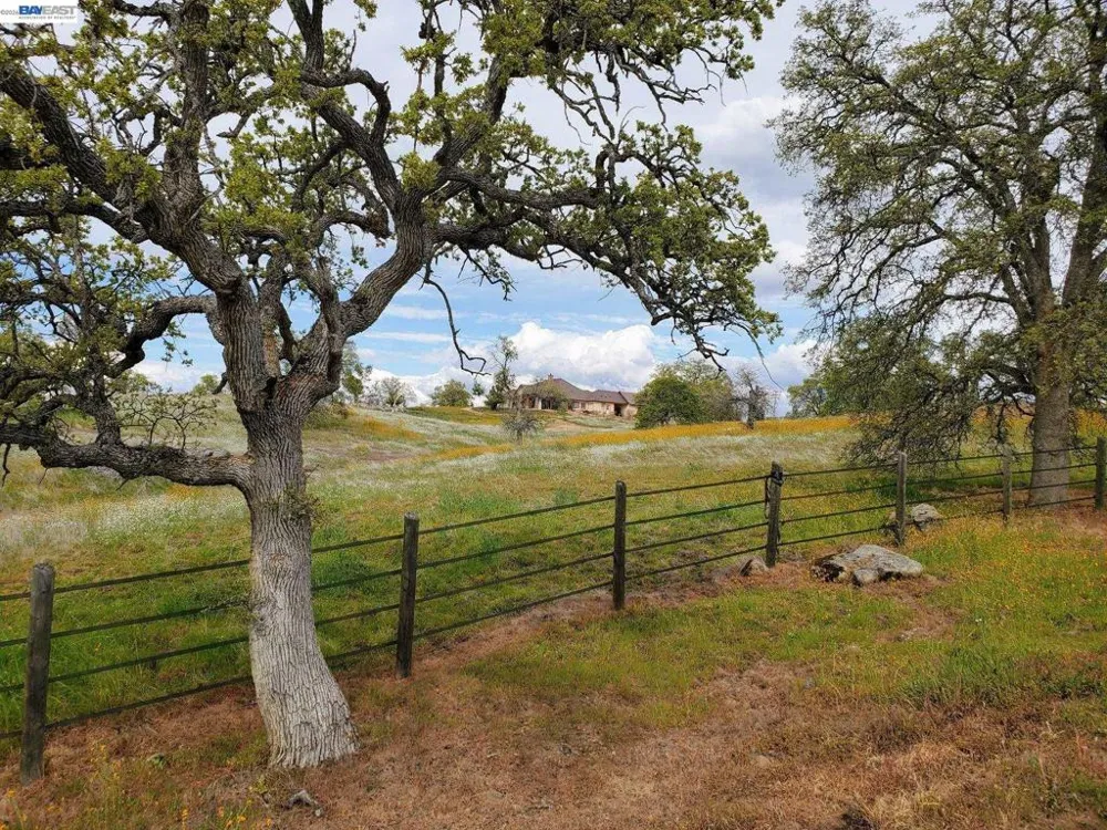 34310 Barn Owl Rd Raymond, CA 93653
