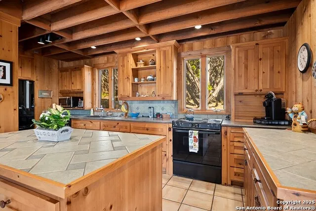 260 Chinaberry Lane Fredericksburg, TX 78624