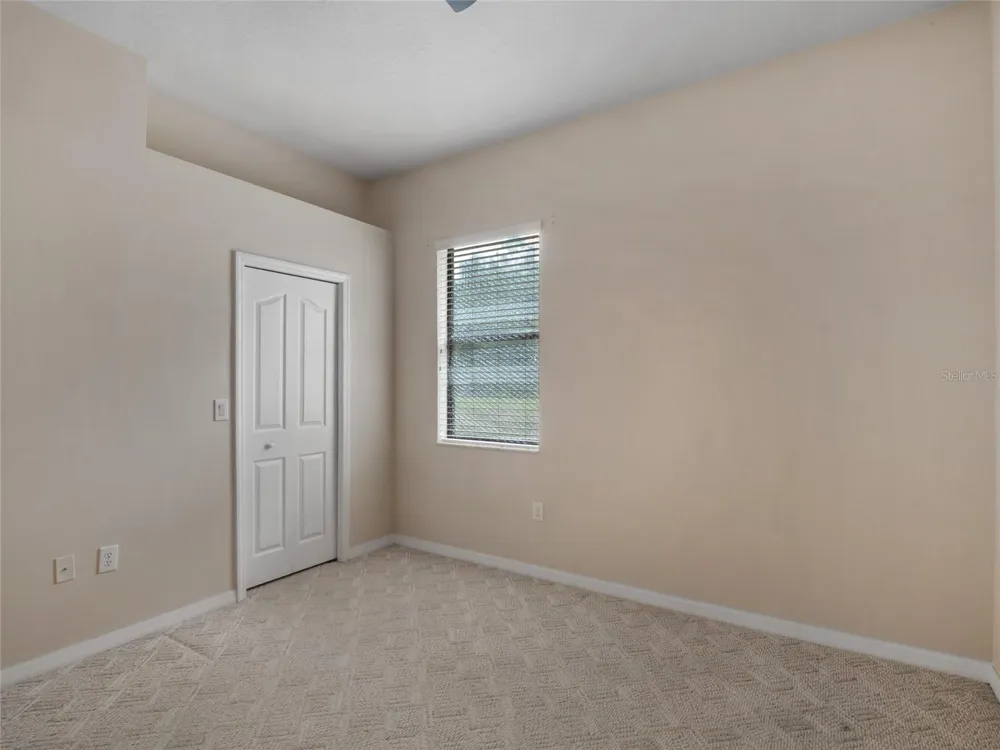 7716 PINE LANDS DRIVE Wesley Chapel, FL 33544