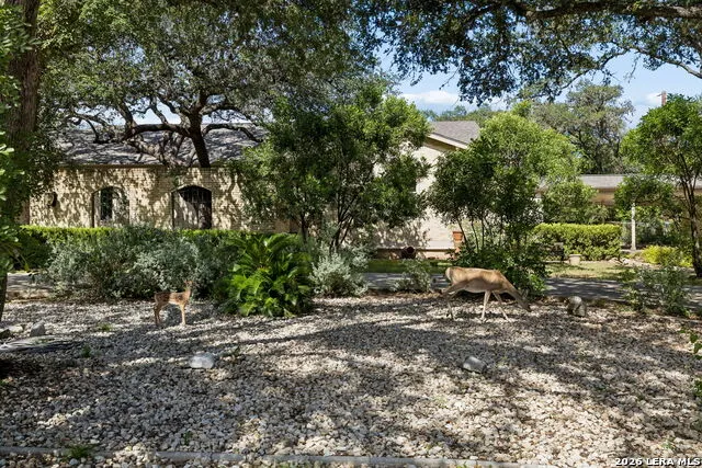 206 Rio Seco St San Antonio, TX 78232