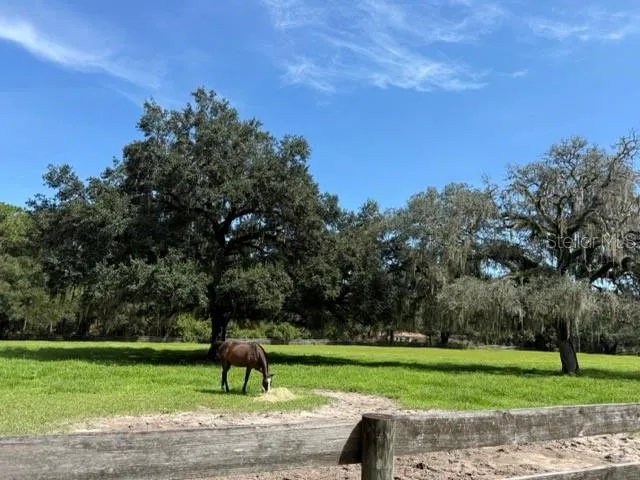 12550 SW 16TH AVENUE ocala, FL 34473