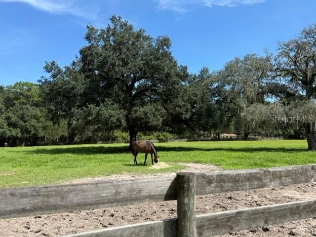12550 SW 16TH AVENUE ocala, FL 34473