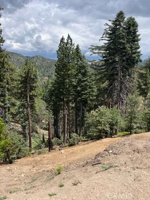 2349 Deep Creek Running Springs, CA 92382