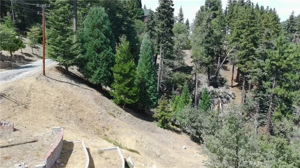 2349 Deep Creek Running Springs, CA 92382