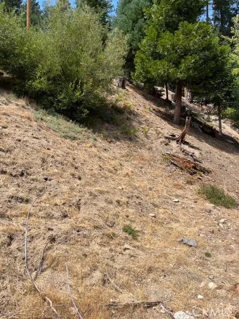 2349 Deep Creek Running Springs, CA 92382