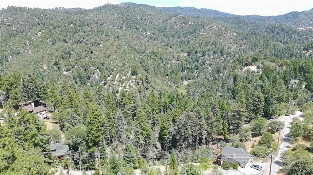 2349 Deep Creek Running Springs, CA 92382