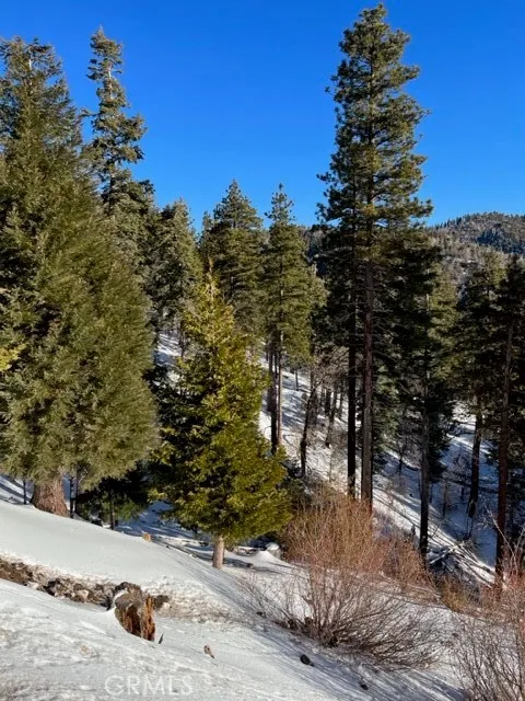 2349 Deep Creek Running Springs, CA 92382