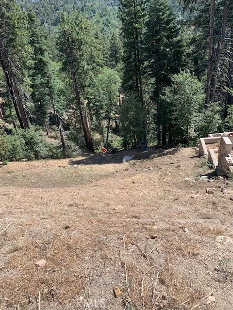2349 Deep Creek Running Springs, CA 92382