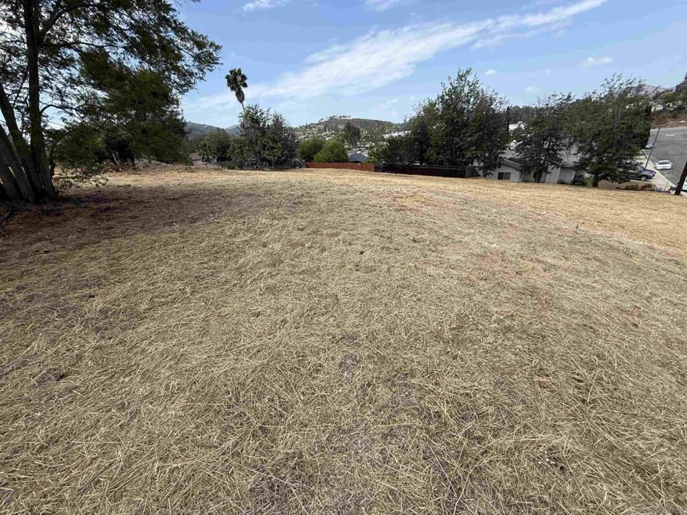 1565 Montiel Rd San Marcos, CA 92069