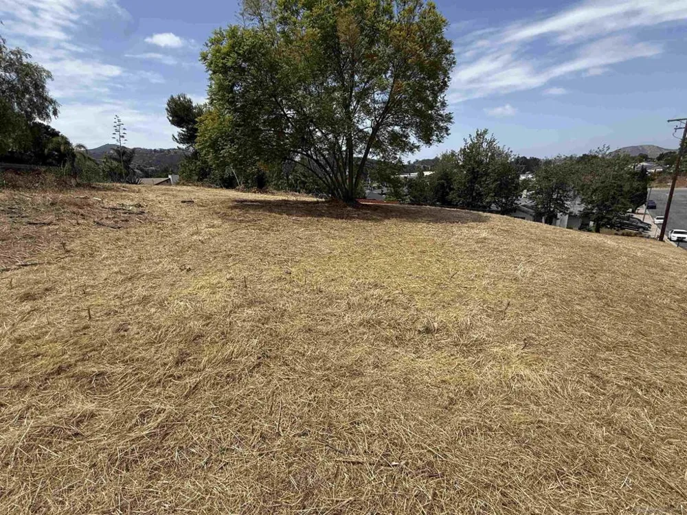 1565 Montiel Rd San Marcos, CA 92069