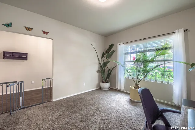 32111 CAMELLIA BND Bulverde, TX 78163