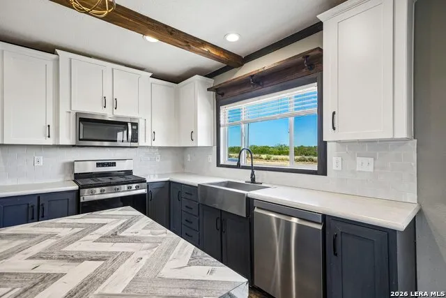 290 Lilly Bear Ln Moore, TX 78057