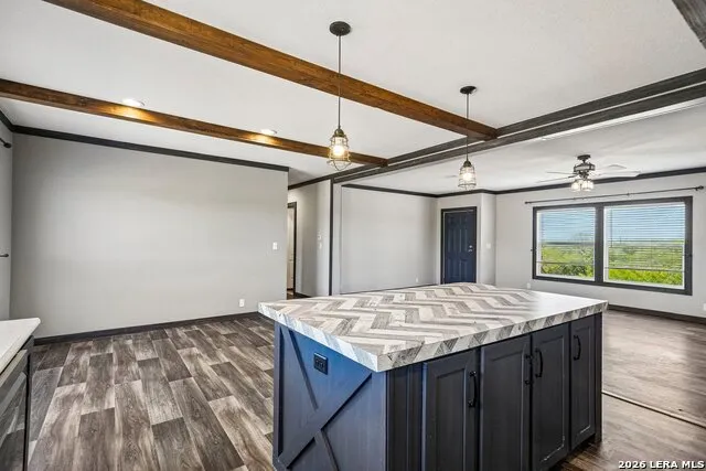 290 Lilly Bear Ln Moore, TX 78057